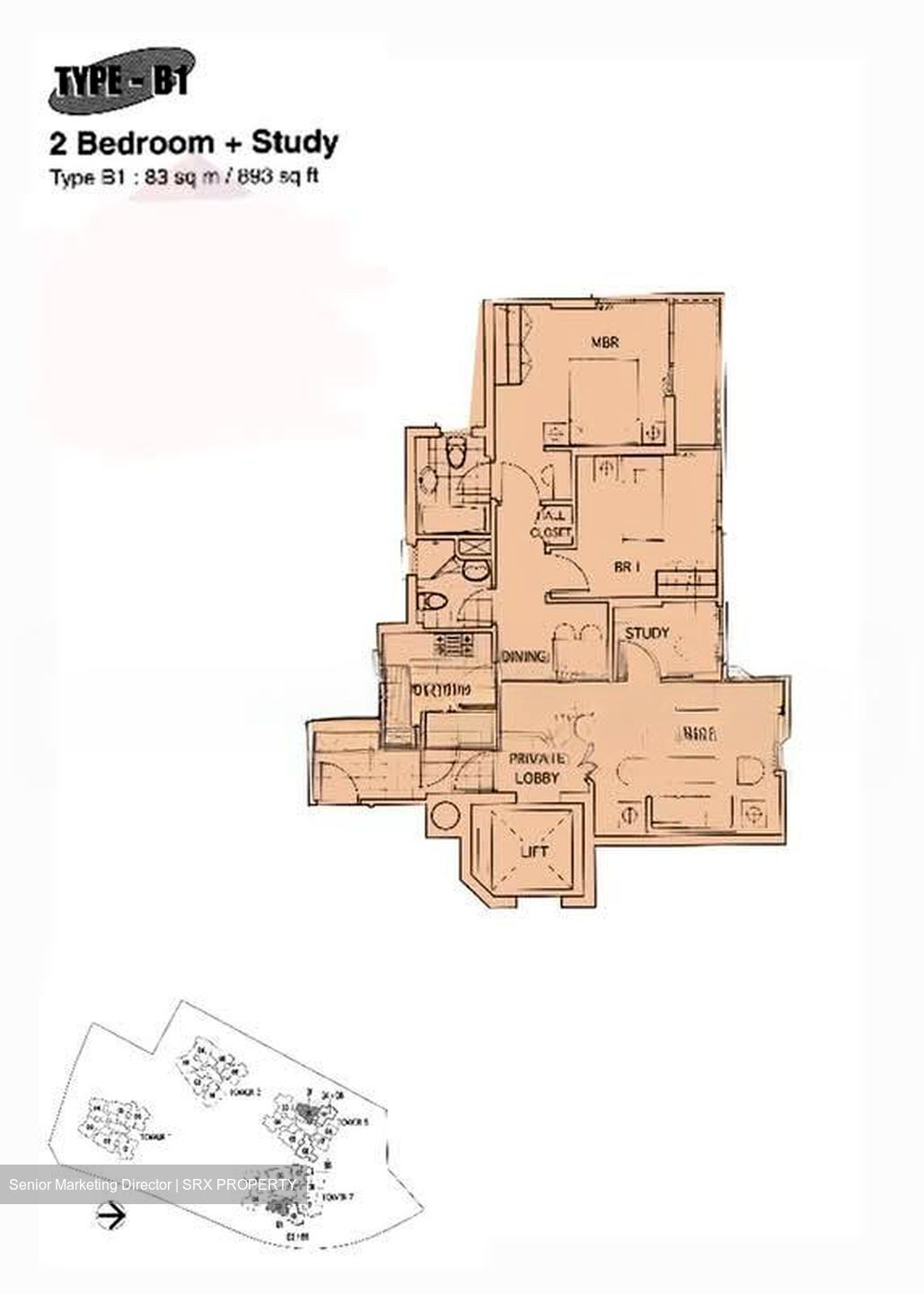 The Mayfair (D22), Condominium #534449641